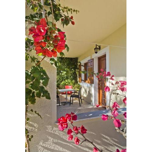 Montemar Studios & Apartments