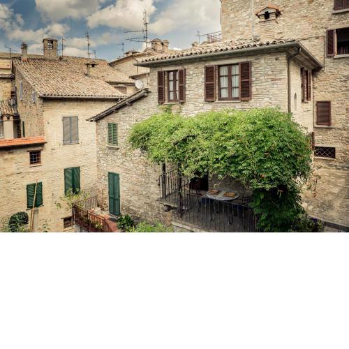Montone Due