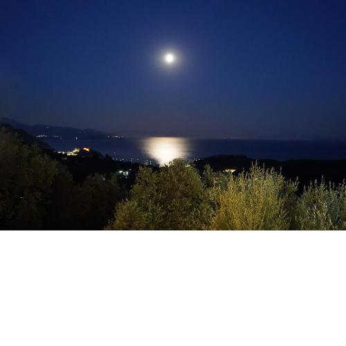Moonlight Suites