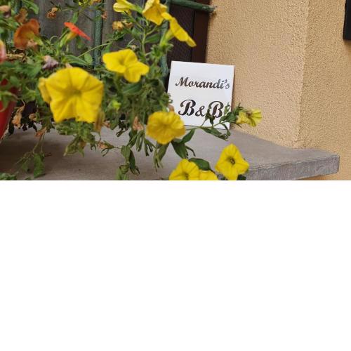 Morandi's