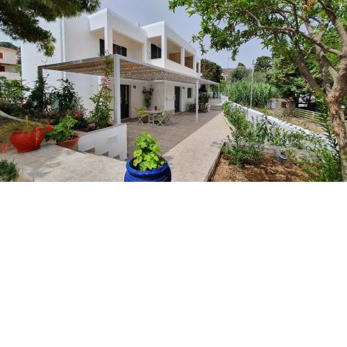 Moscha Studios