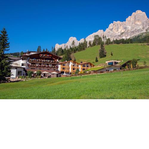 Moseralm Dolomiti Spa Resort