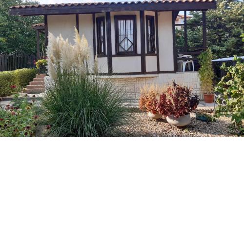Motivi cottage