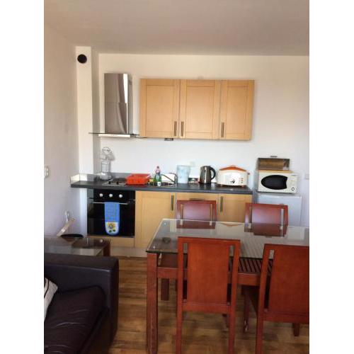 Mountain View Apartment B23
