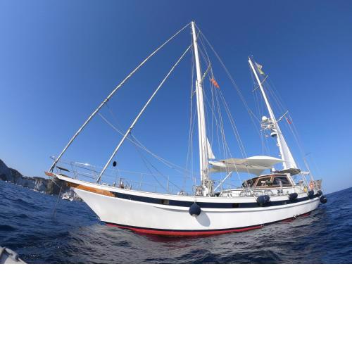 MSY Margherita