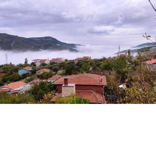 Muhtesem manzarali somineli dag orman evi