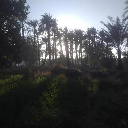 Murad Guest house ,Nubian village