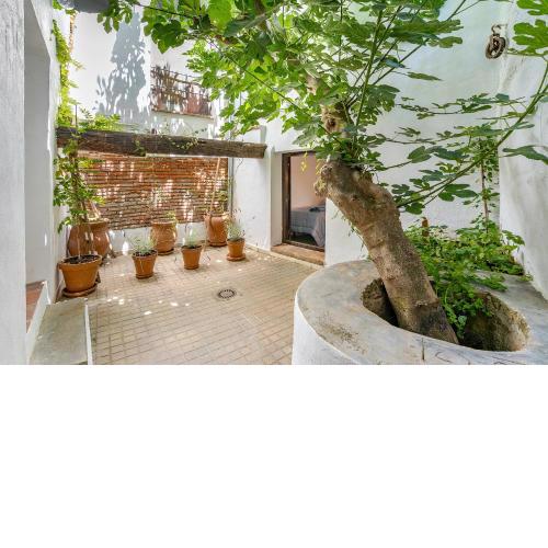 Muralla de Guadix - Casa Rústica para 2 con Patio en el centro de Guadix