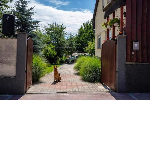 Muskáti apartman.Hunyadi.ut.6.sz.