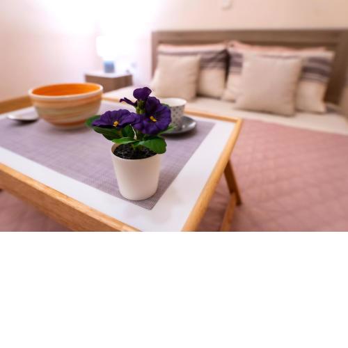 Myrtle, city center renovated apartment