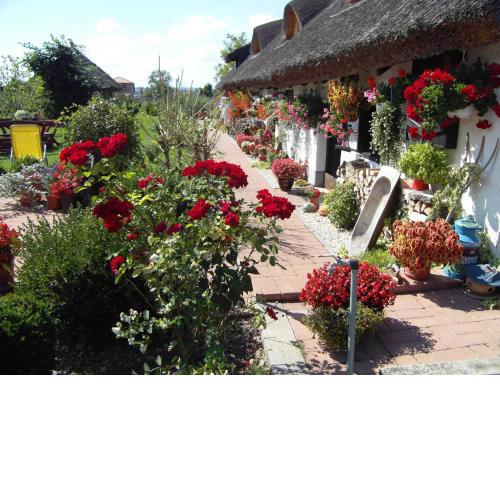 Nádasház