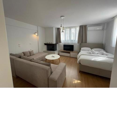 Nala's apartment I