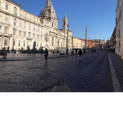 Navona Nest