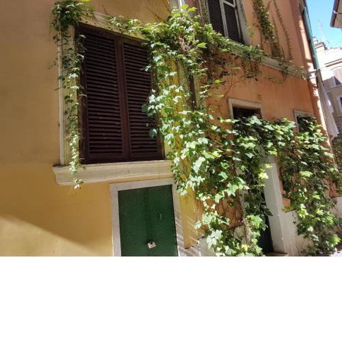 Navona's Flat Alley