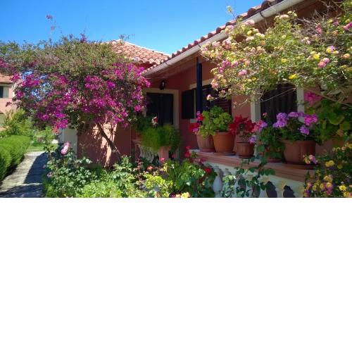 NEFELI House