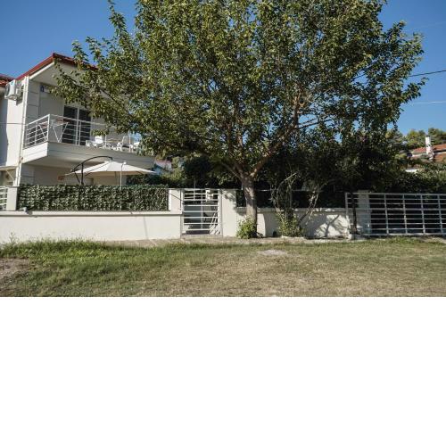Nektarios Garenias Kipoupoli