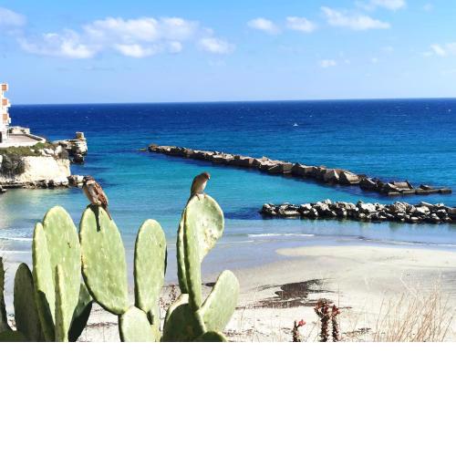 Nel cuore di Otranto