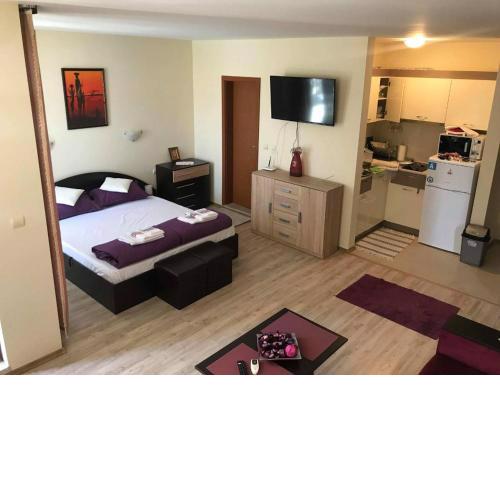 Nestinarka Complex - Emili Apartment