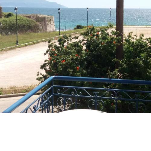 Nestor Sea Studio