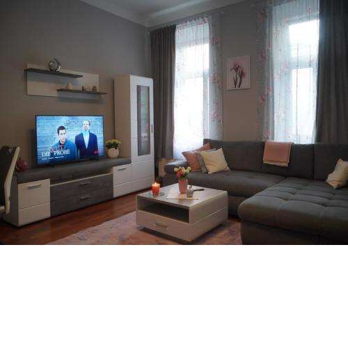 neu-möbliertes Apartment nähe Zentrum