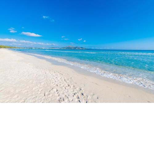 New! APARTMENT SUN OF THE BAY 3B