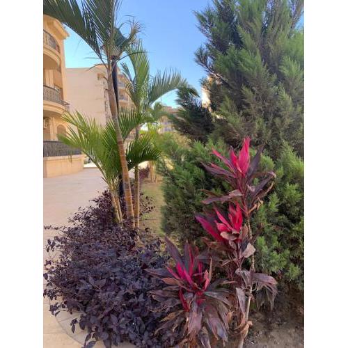 New Luxuriously Furnished Apartment in New Cairo