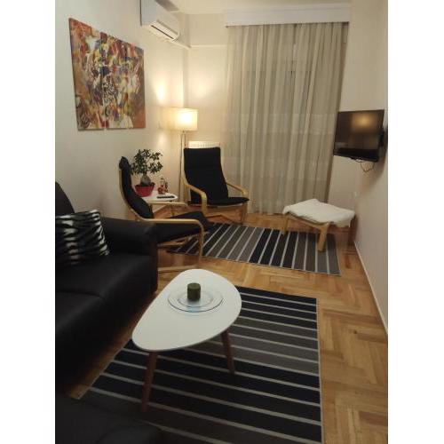 New Stylish and Cozy House