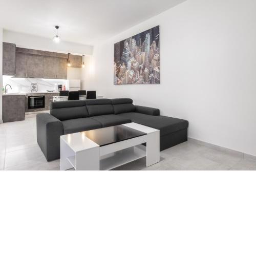 Newly built detached house with parking