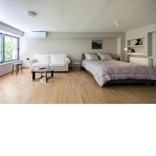 Newly Cosy Renovated Apartments Downtown