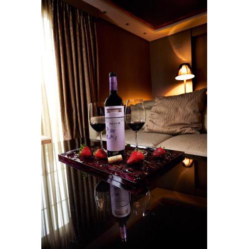 Nexus Valladolid Suites & Hotel