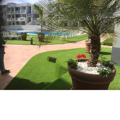 Nice and sunny apartment
