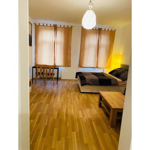Nice apartment Hollergasse 22
