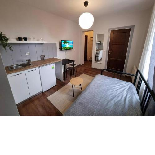 Nice Apartment in Sofia Center