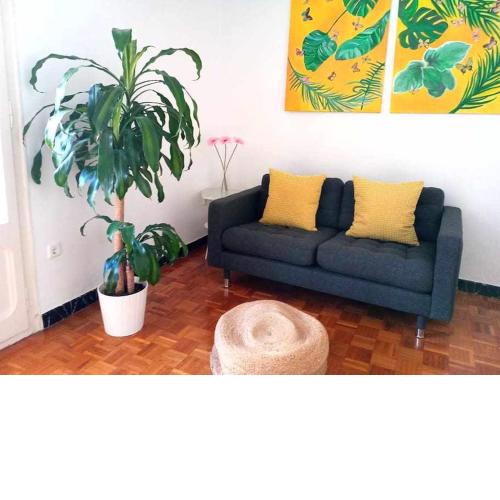 Nice Apartment