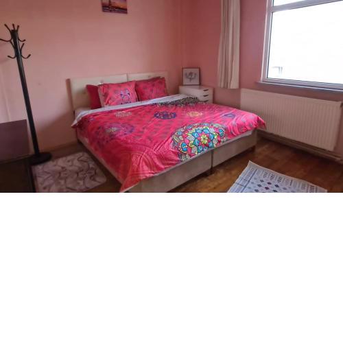 Nice full apartment with kitchen and balcony