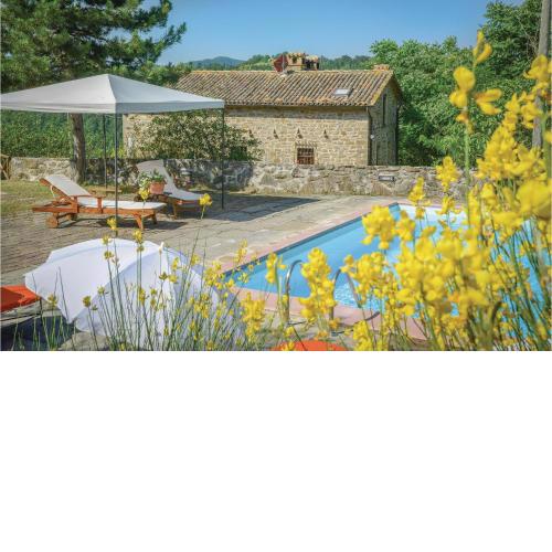 Nice Home In Apecchio -pu- With 5 Bedrooms, Wifi And Private Swimming Pool
