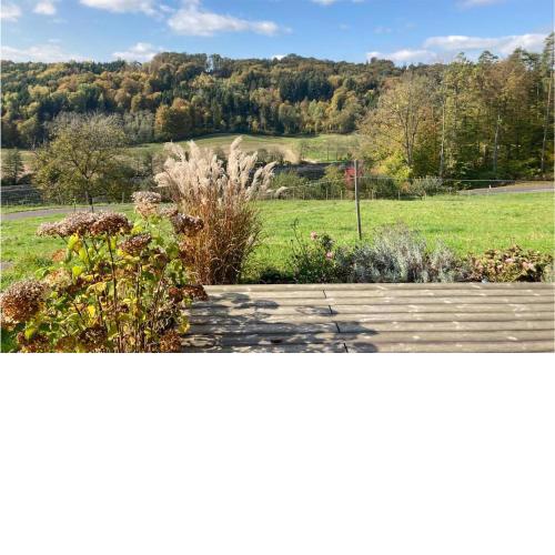Nice home in Feldbach with WiFi and 1 Bedrooms