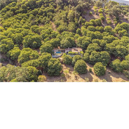 Nice Home In Jubrique With Outdoor Swimming Pool, Wifi And 3 Bedrooms