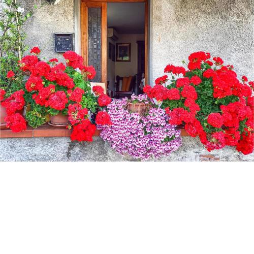 Nice home in Loc, Farnocchia di Sta with 4 Bedrooms and WiFi