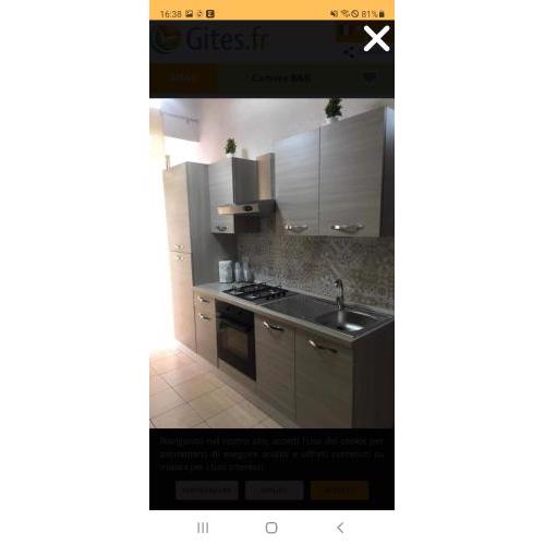 Nicolamore home