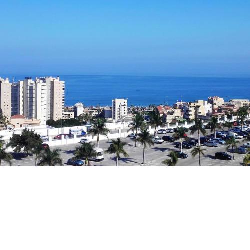 Nid des amoureux Torremolinos