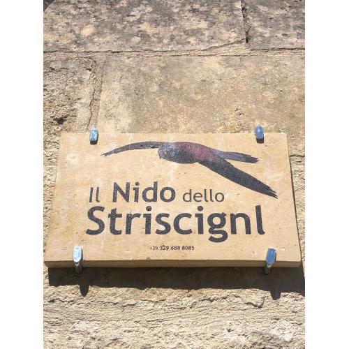 Nido Del Striscignl