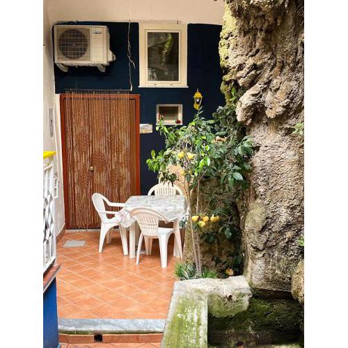 NIDO DI FLORA