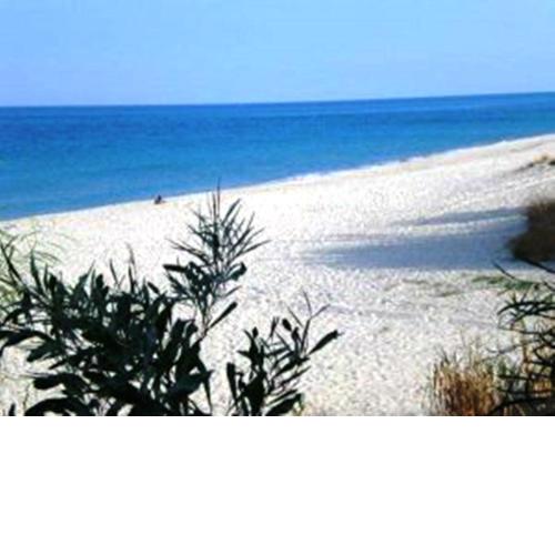 Nido fra gli Ulivi - Calabria