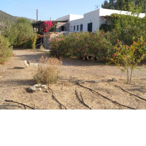 Nikola's Farmhouse