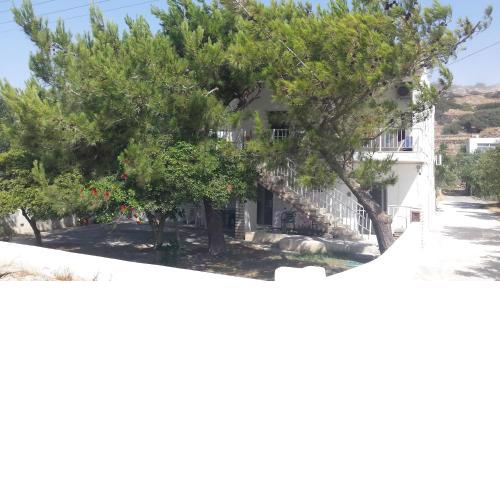Nikolas House