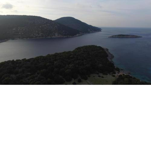 North Paradise