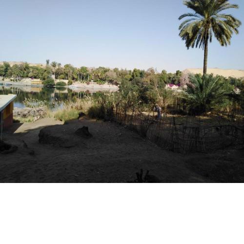 NUBA One