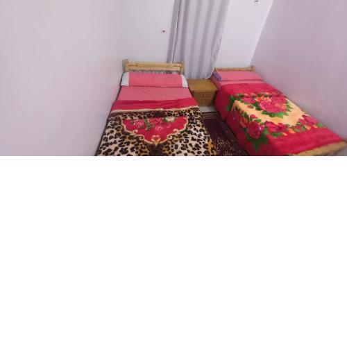 Nubian Life Guest House