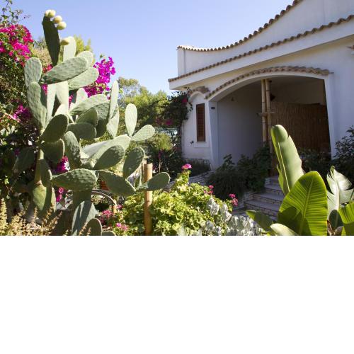 Oasi Beach Hotel